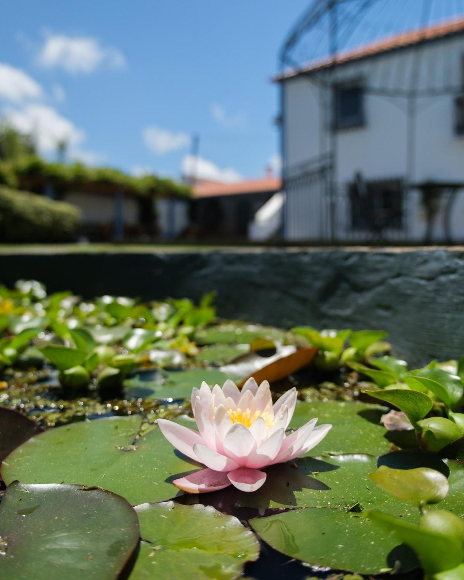 Quinta Morazes Casas De Campo Ribeira Grande Ngoại thất bức ảnh